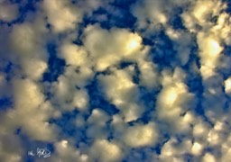Rays Ike Moriz Photography Cape Town South Africa Art
